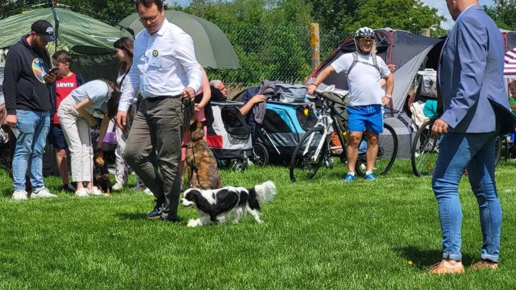 Sybelle vom haarigen hund